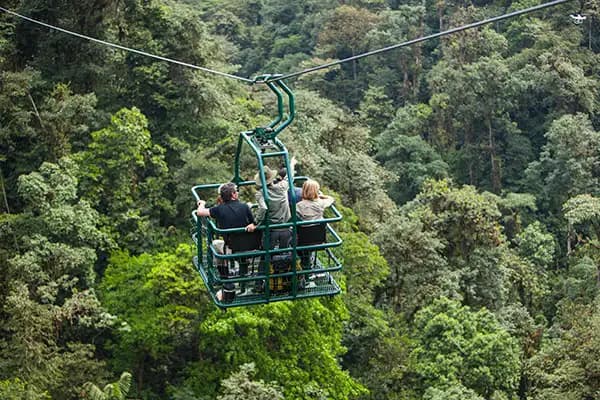 Cloud Forest, Ecuador photo 3