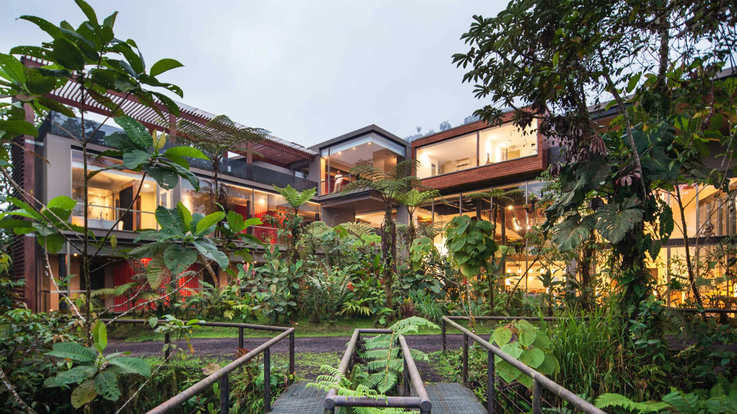 Cloud Forest, Ecuador photo 4
