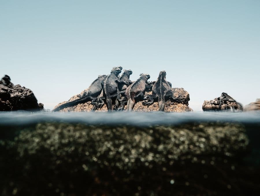 Galapagos Islands, Ecuador photo 2