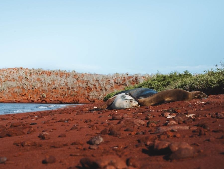 Galapagos Islands, Ecuador photo 3