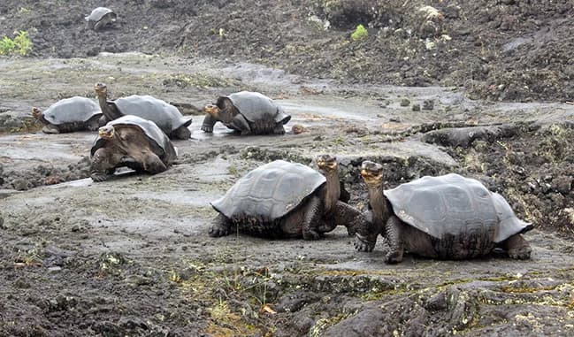 Galapagos Islands, Ecuador photo 4