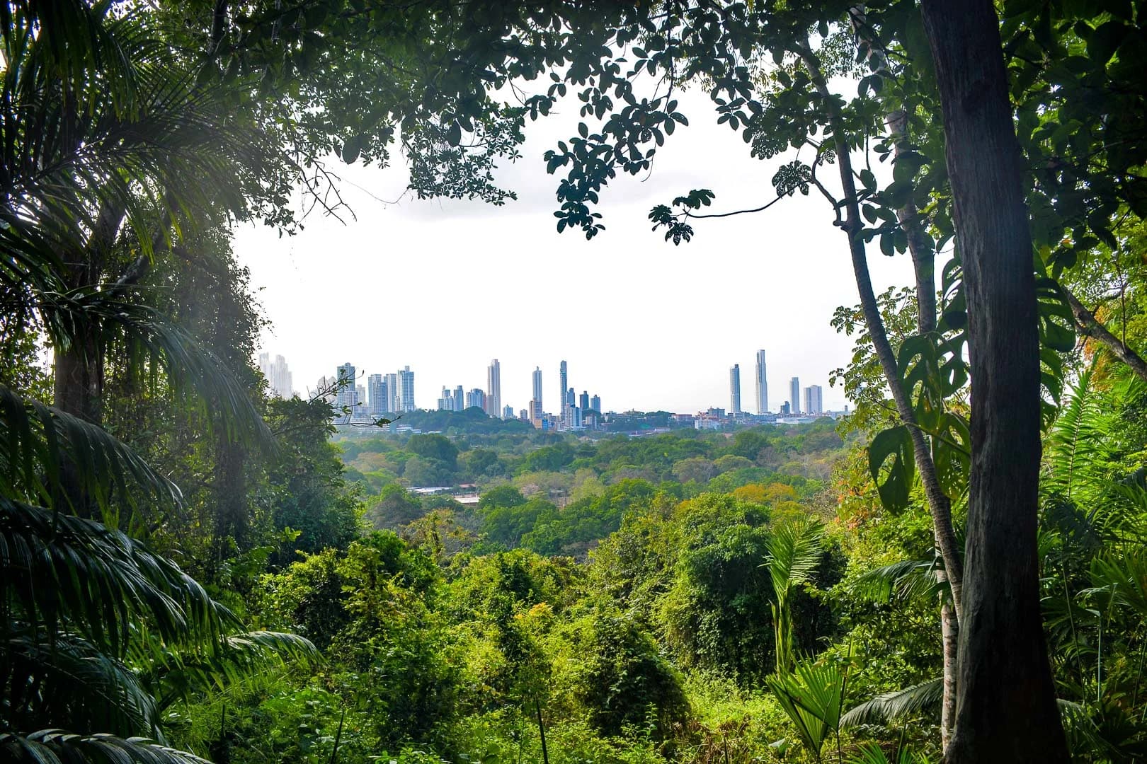 Panama City, Panama photo 3