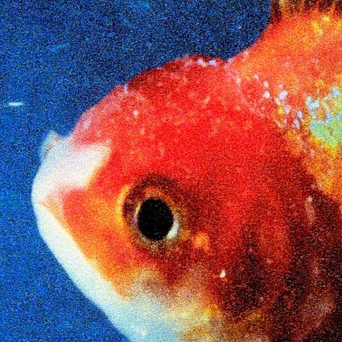 Album cover for Big Fish Theory by Vince Staples