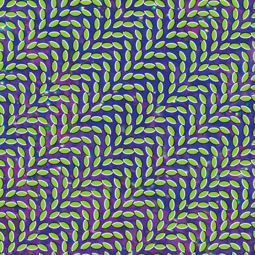Album cover for Merriweather Post Pavillion by Animal Collective